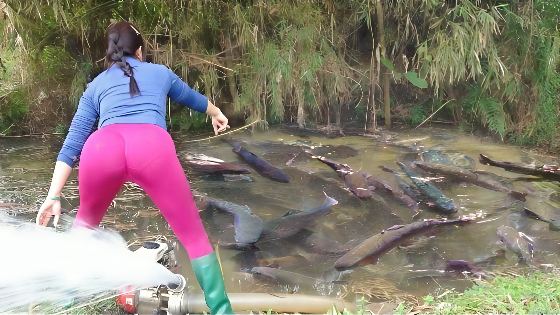 Интересная рыбалка. Девушка использует мощный насос и откачивает воду из пруда. Много рыбы смотреть онлайн