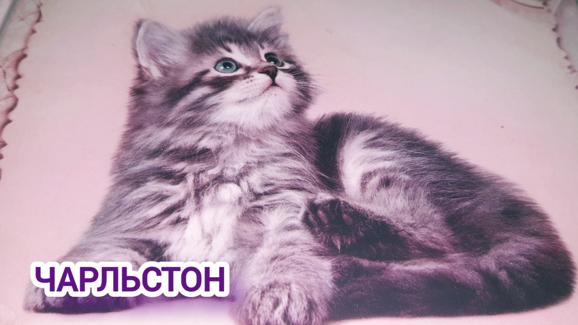 Предмет — аранжировка | 3 курс | Музыкальное звукооператорское мастерство