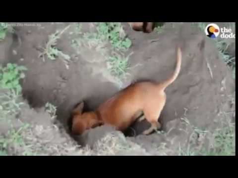 Побег из школы смотреть онлайн