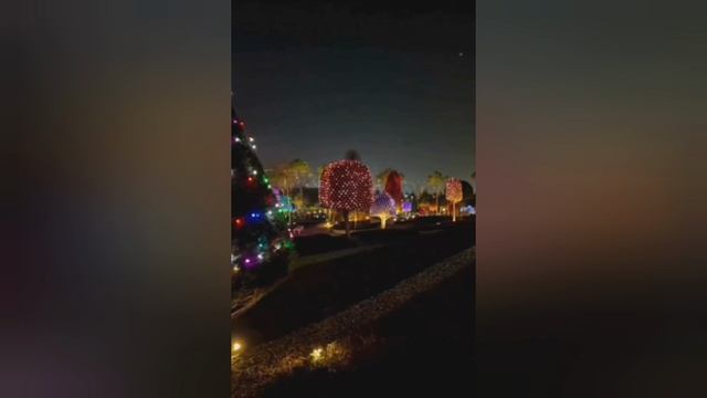 Парк Галицкого.2025г. смотреть онлайн