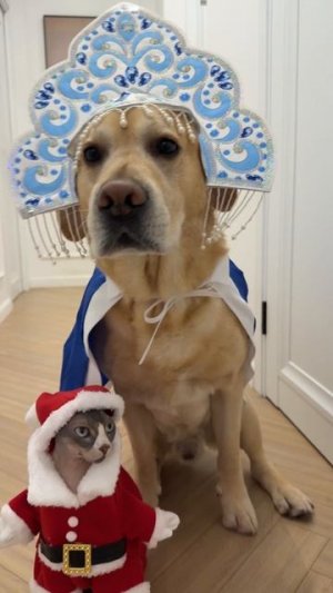 А им идет 😁