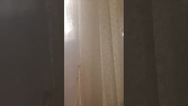 ит смотреть онлайн