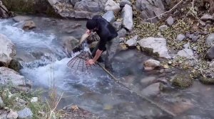 Необычный метод ловли / Рыбалка в ручье / БОЛЬШИЕ РЫБЫ В МАЛЕНЬКОМ РУЧЬЕ |