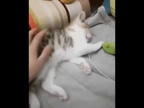 Когда всю ночь писал конспекты! смотреть онлайн