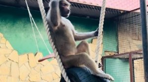 Люся МОЛОДЕЦ, дает стране угля и не пасует перед Елисеем и Лидой!