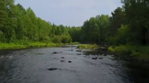 Эрнесто Кортазар лучшее