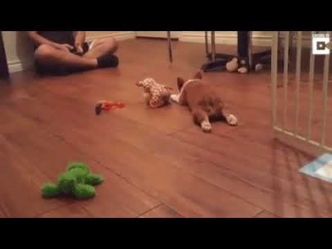 Уроки театрального мастерства смотреть онлайн