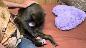 Давно мы так НЕ СМЕЯЛИСЬ, Анфиса легла ЗВЕЗДОЙ и позволила Люсе делать ей массаж)))