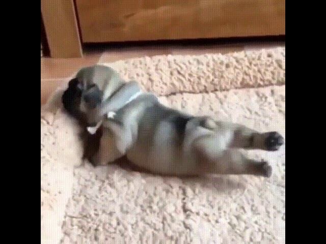 Первые движения! Так мило! смотреть онлайн