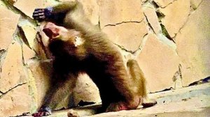 Никакие Люсины выкрутасы не помогают ей ВЕРНУТЬ Елисея, Лида оказалась хитрее…