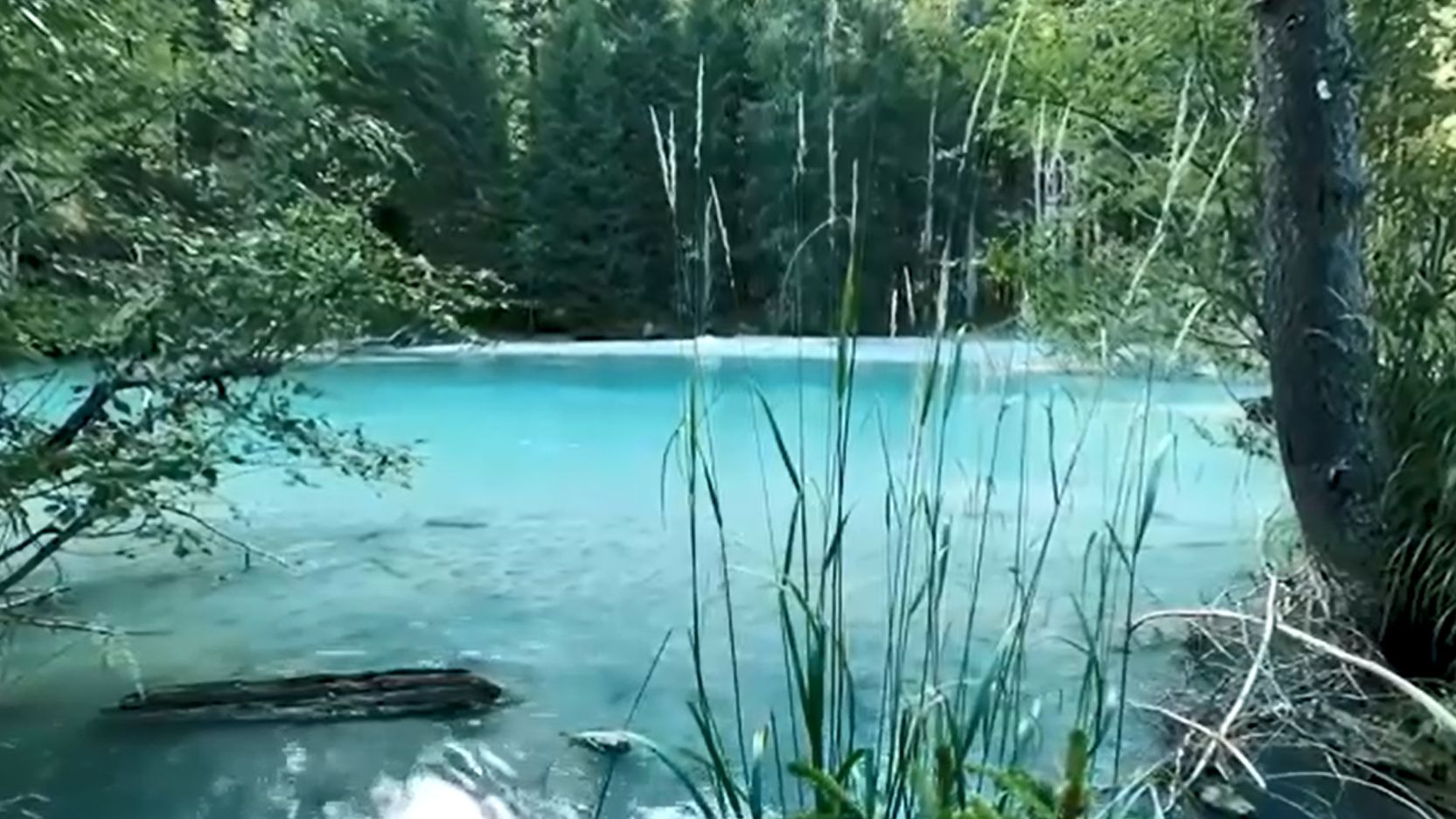 Эрнесто Кортазар лучшее смотреть онлайн