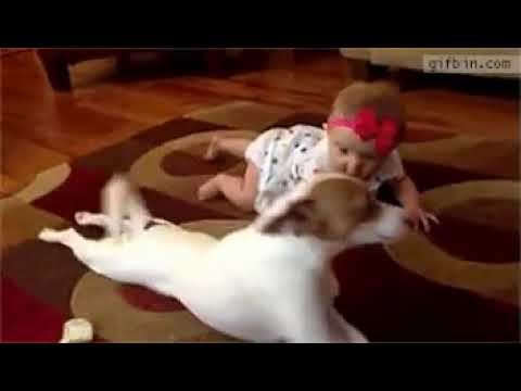 Сегодня будем учится ползать по пластунски! Повторяй за мной! смотреть онлайн