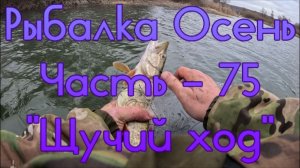 Рыбалка Осень. Часть - 75. "Щучий ход".