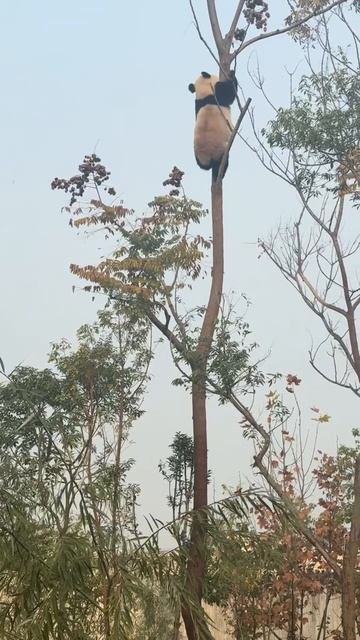 На пути к мечте... смотреть онлайн