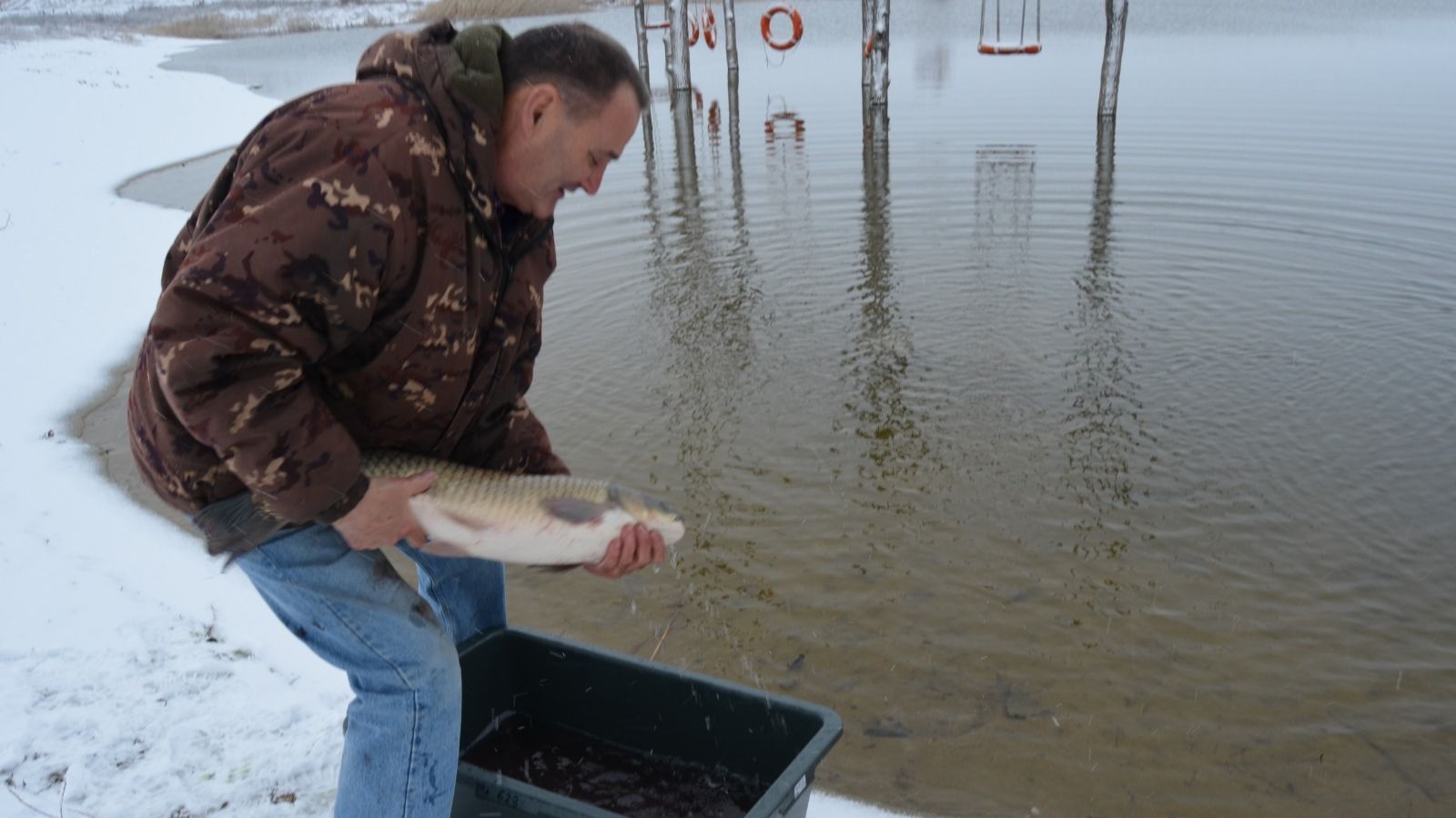 РЫБА-КОМБАЙН!