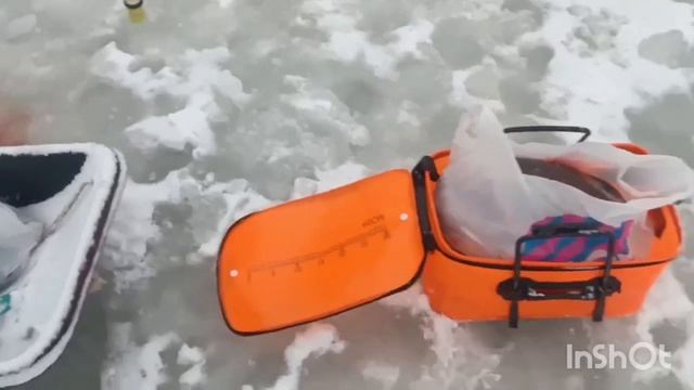 1000136448.mp4 смотреть онлайн