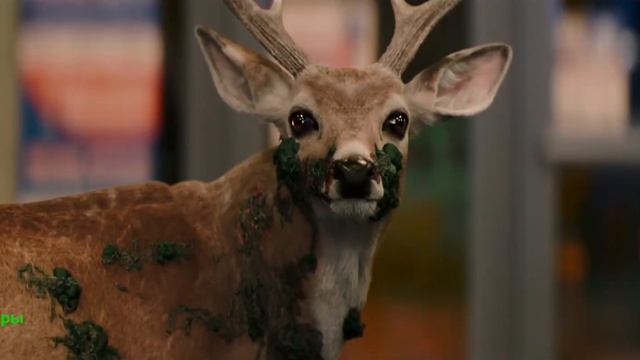 Зараза. Фильм 2026. Русский трейлер фильма. смотреть онлайн