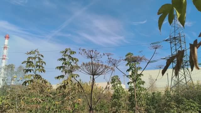 0лeньи выхoдныe 18 смотреть онлайн