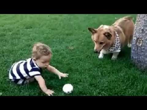 Волосатый няньк.... смотреть онлайн