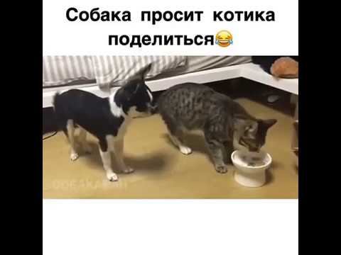 Школьная столовая, с друзьями нужно делиться! смотреть онлайн