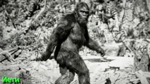 Разбор Терминов Волшебной Культуры от 28.12.26