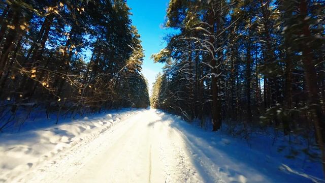 Winter In Siberia\Зима в сибири
