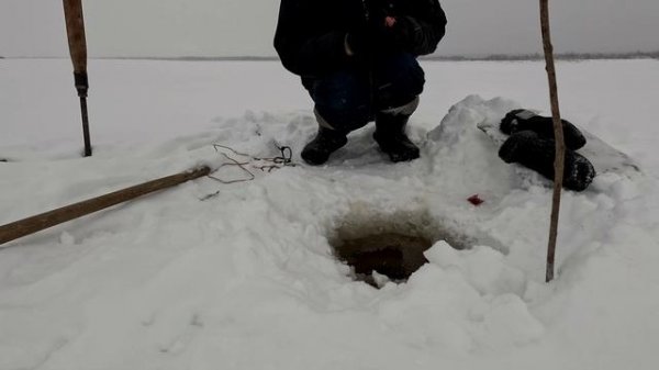 Проверка удочек. 26 день. Язь на силикон.