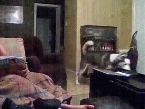 Нет, не в моем вкусе! смотреть онлайн