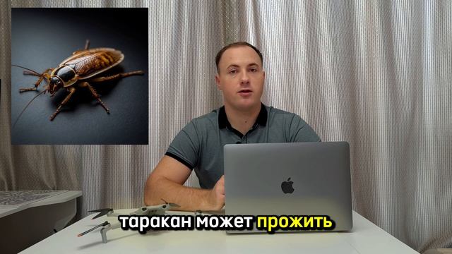 Сколько может прожить таракан