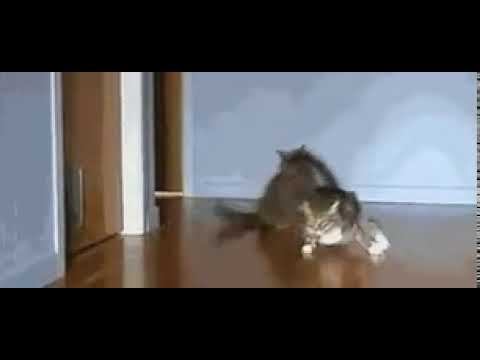 Гонки на выживание смотреть онлайн