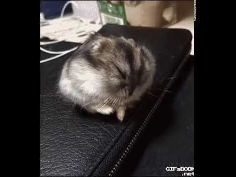 Начало нового учебного года! смотреть онлайн