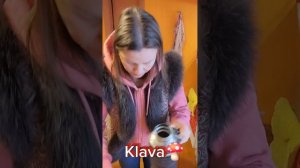 Мухоморный трип 20