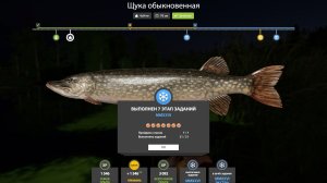 НОВОГОДНИЕ ЗАДАНИЯ 7  ЭТАП - РУССКАЯ РЫБАЛКА 4