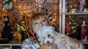 Наверное все-таки о её в этом был виноват...