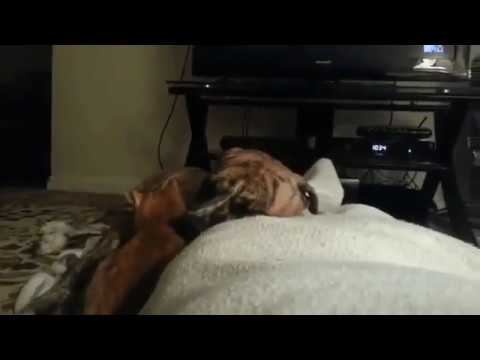 Дружба смотреть онлайн