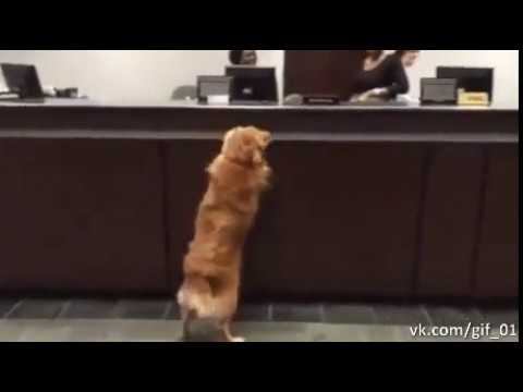 У Вас есть вакансия учителя? смотреть онлайн