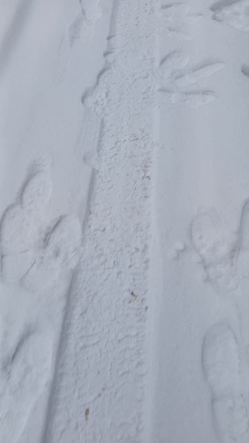 прикол из СССР