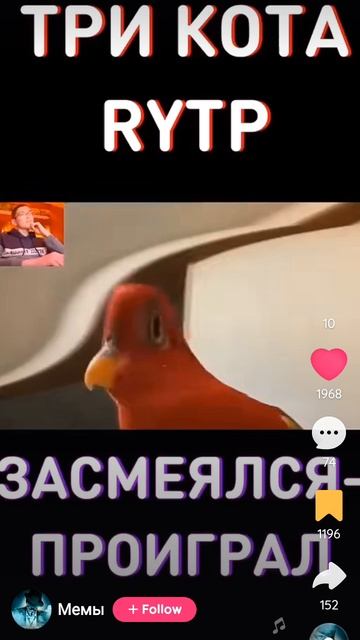 говорящая птица вававав смотреть онлайн