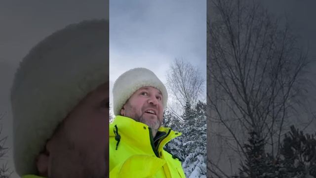 29-12-2025 смотреть онлайн