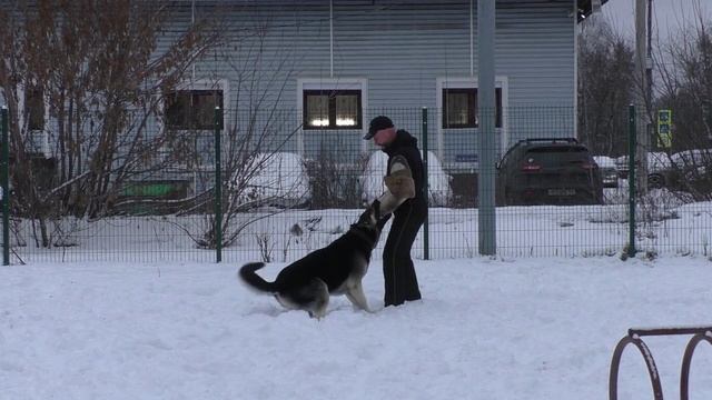ПРК_МВ Гвидон лобовая перепуск смотреть онлайн