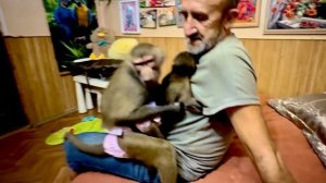 Видео-ШЕДЕВР! Как Люся в мгновение ока УСПОКОИЛА Анфису!