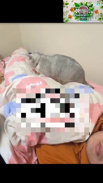 Лучше ложка к обеду, чем в глаз🤣 смотреть онлайн