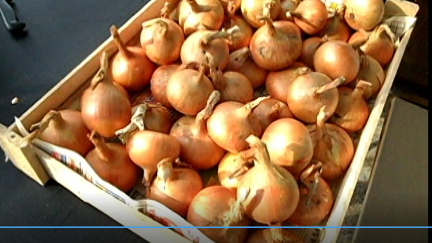 Выращивание лука репки смотреть онлайн