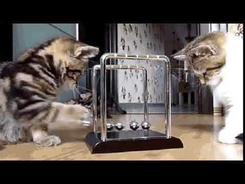 Интеллектульный марафон смотреть онлайн