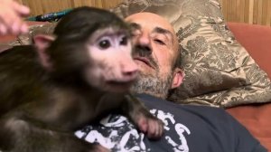 Анфиса ведет  себя как будто она КОРОЛЕВА, все для нее и она папина любимица)))