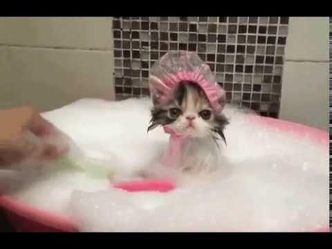 Водные процедуры смотреть онлайн