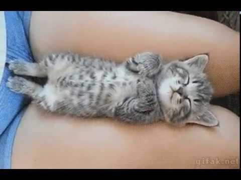 Я в отпуске! смотреть онлайн