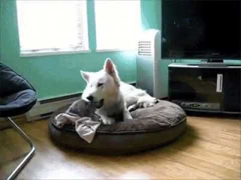 Рискует! смотреть онлайн