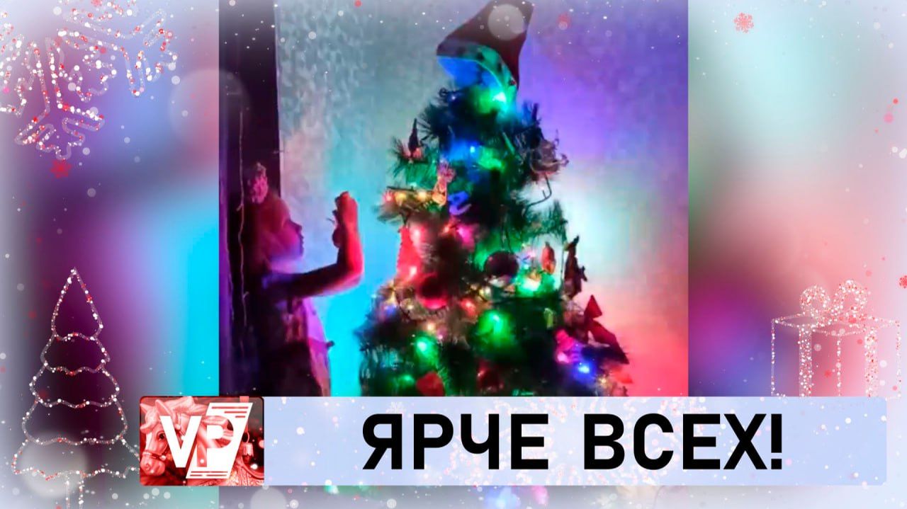 ВОЛГОГРАДЦЫ ВЫБИРАЮТ ЛУЧШУЮ НОВОГОДНЮЮ ЕЛКУ смотреть онлайн