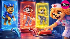 Щенячий патруль и Маршалл. Залипательное видео. Мультфильм для детей и малышей. Анимация 30
